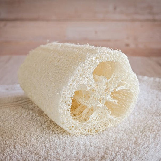 Luffa Schwamm